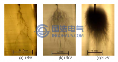 電樹(shù)枝的發(fā)展